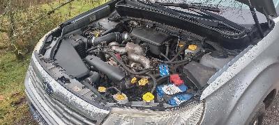 SUBARU FORESTER